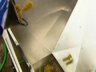 LABORATORIO VINO (18)